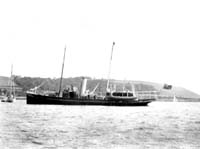 Vigilant History 4