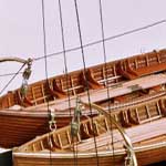 model detail